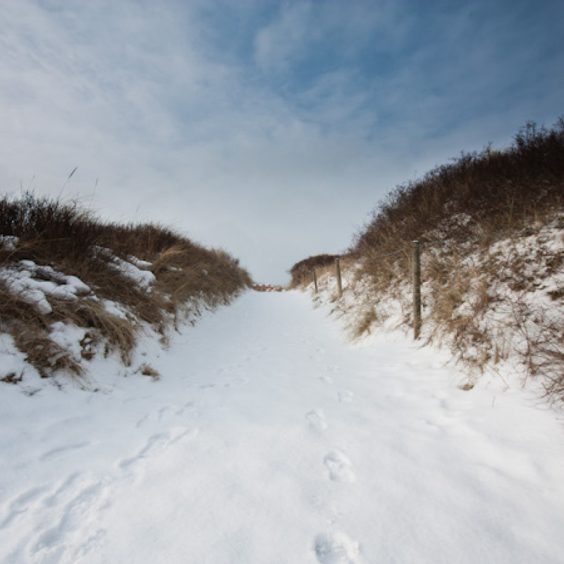 Dünenweg auf Langeoog