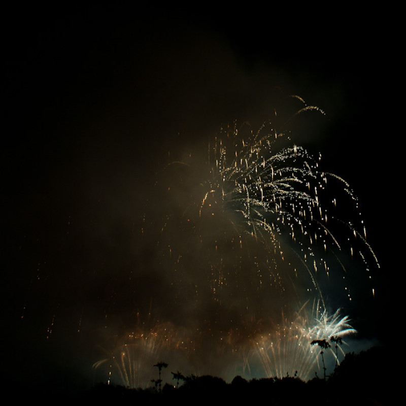 Feuerwerk bei Rhein in Flammen 2010