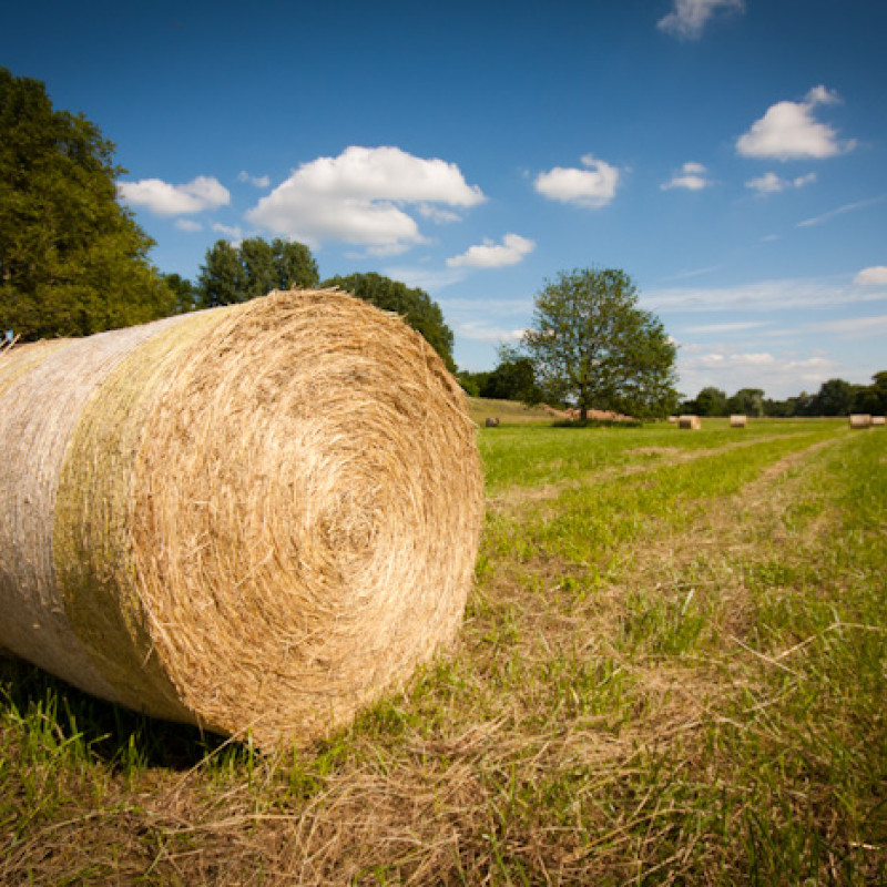 Heuballen auf einem Feld
