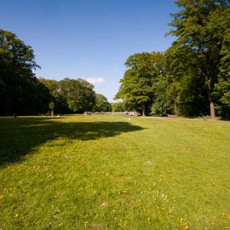 Große Wiese im Stadtwald Krefeld