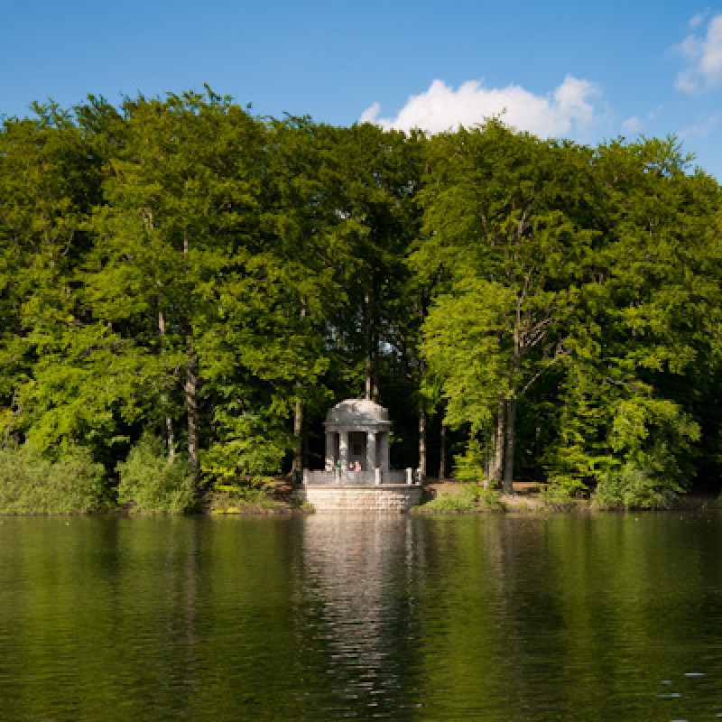 Noch einmal der See im Stadtwald Krefeld