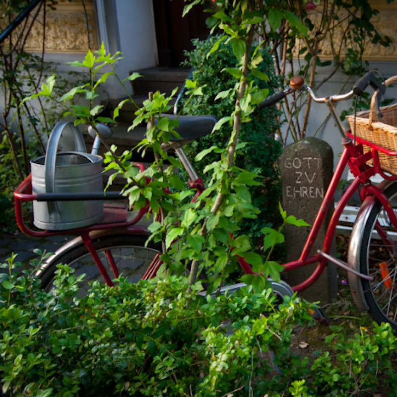 Fahrrad im grünen Vorgarten