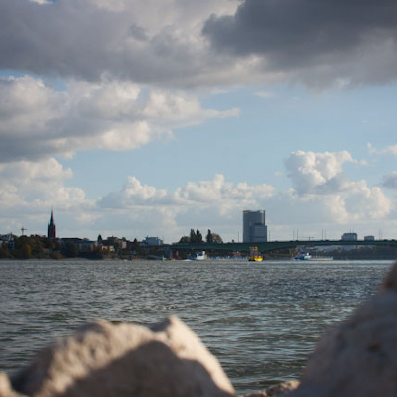 Bonn im Hintergrund