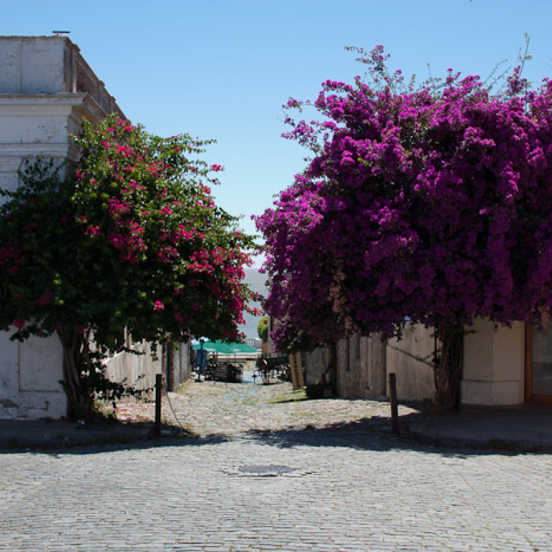 Gasse zum Meer