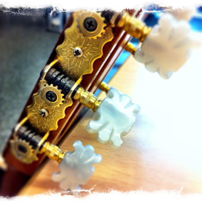 Eine Gitarre auf der Bundesversammlung