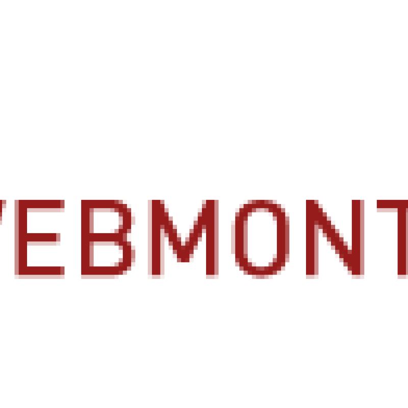 Webmontag Bonn
