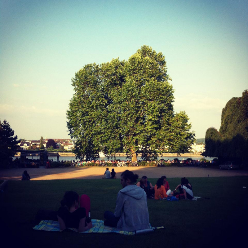 Am alten Zoll in Bonn