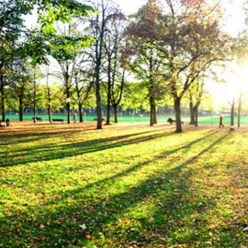 Panorama mit dem iPhone 5 am Hofgarten in Bonn