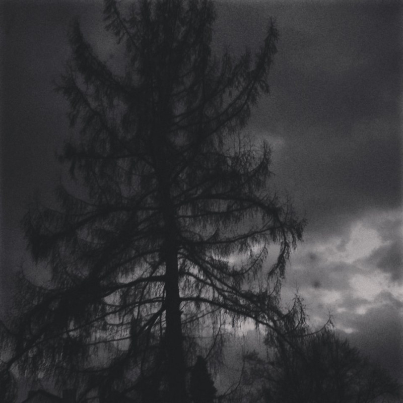 Grau