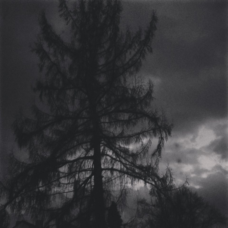Grau