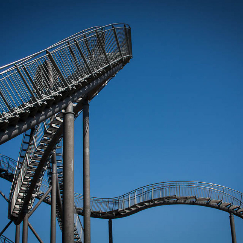 Tiger & Turtle