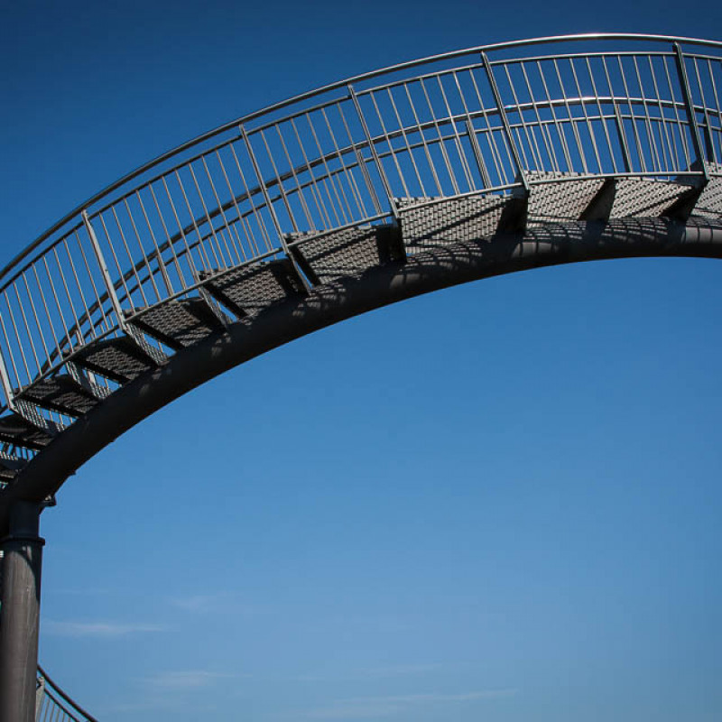 Tiger & Turtle