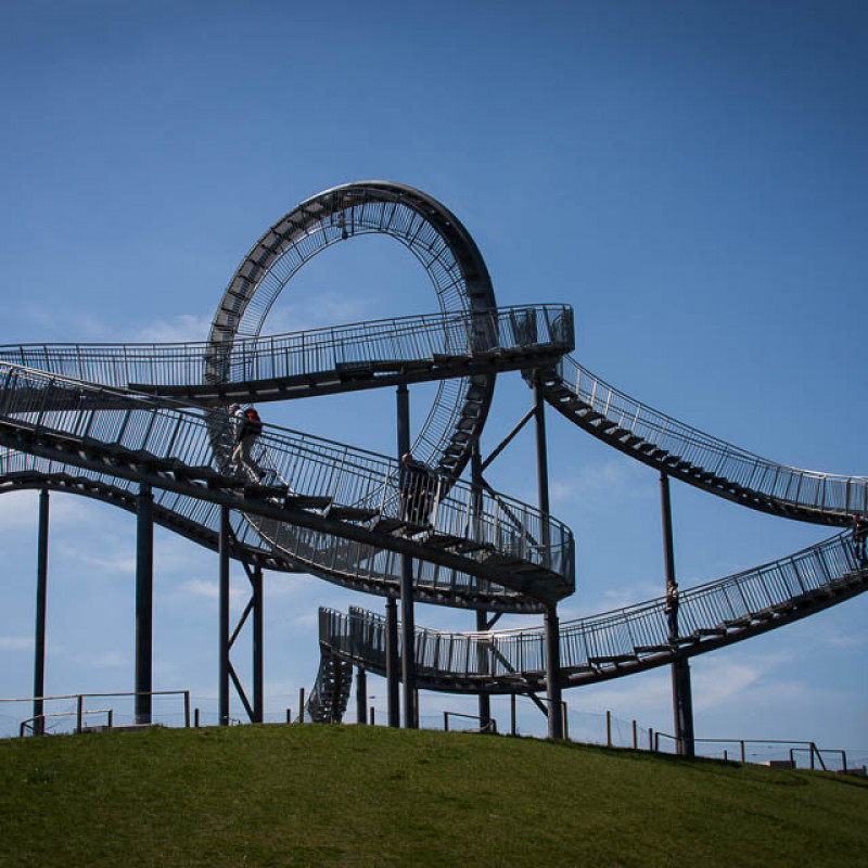 Tiger & Turtle