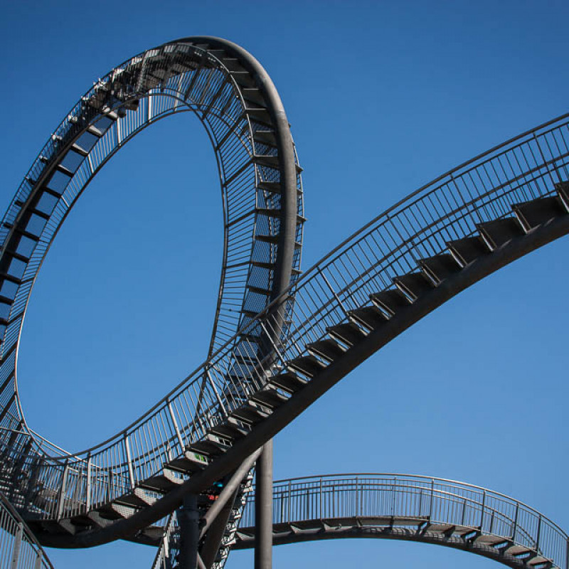 Tiger & Turtle