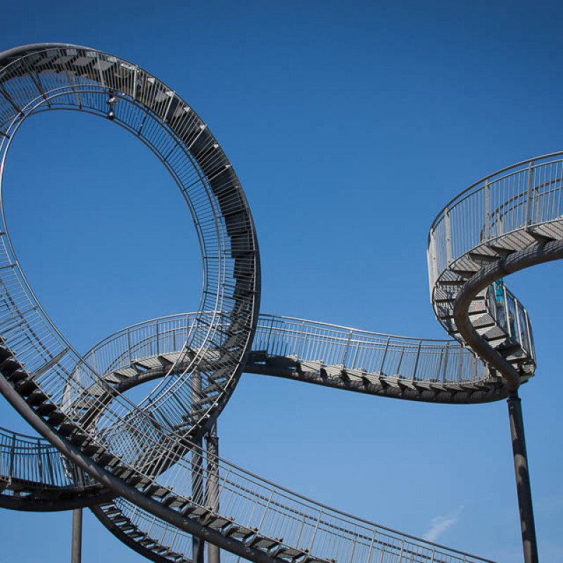 Tiger & Turtle