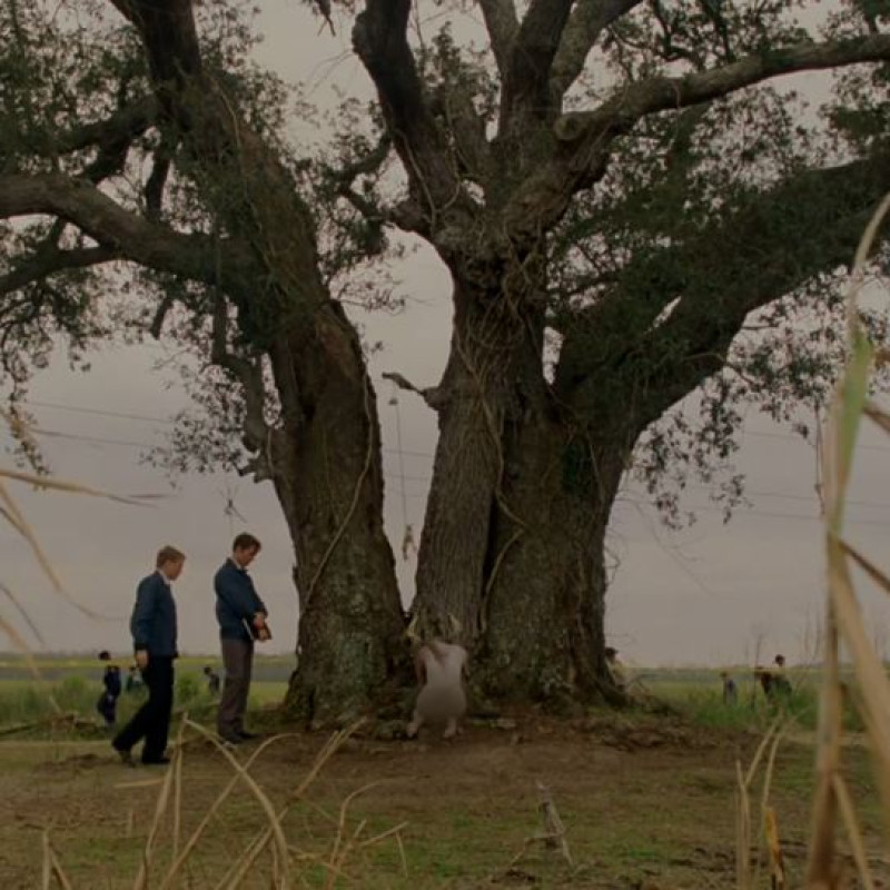 Ein großer Baum an dem eine Leiche platziert wurde, die Detectives inspizieren den Tatort.