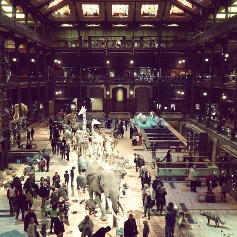 Museum! Tiere! #swagsummit