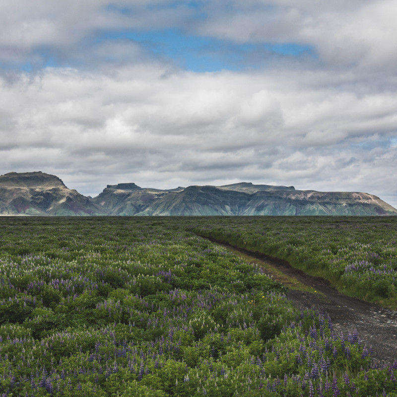 Ein Gebirge im Hintergrund einer großen Ebene.