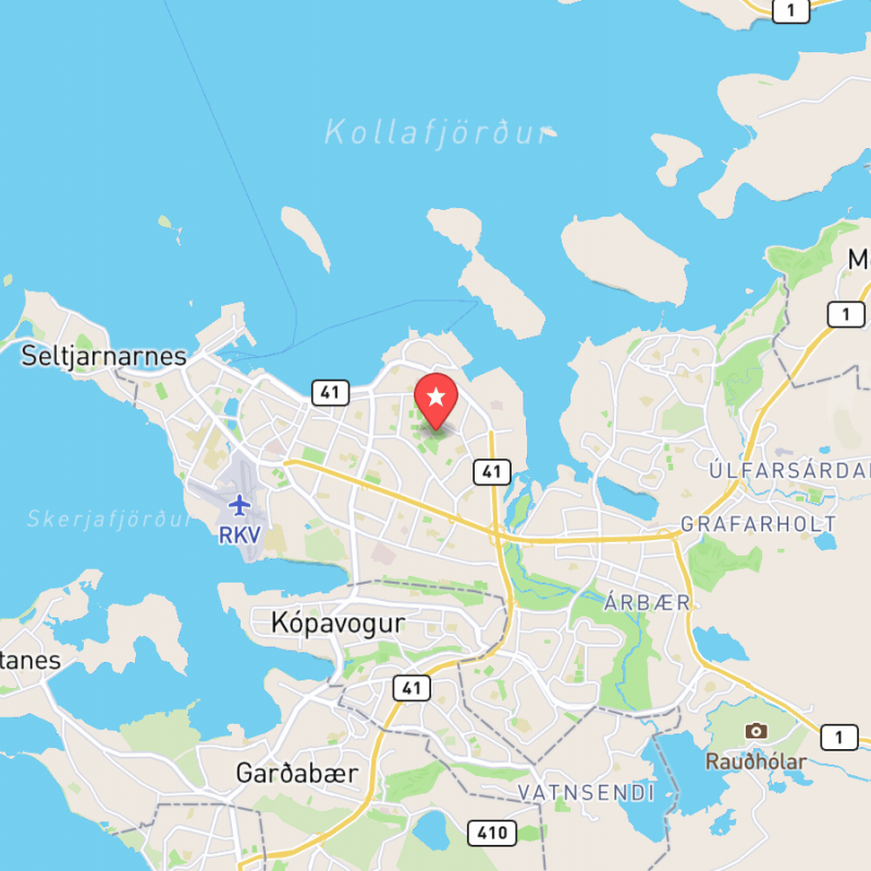 Eine Karte von Botanische Garten Reykjavík