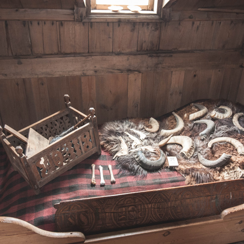 Verschiedene Knochen und Hörner werden auf einem Bett präsentiert.