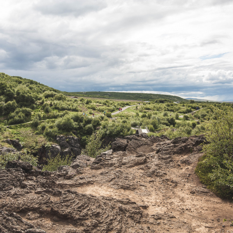 Hügelige Landschaft mit Büschen.