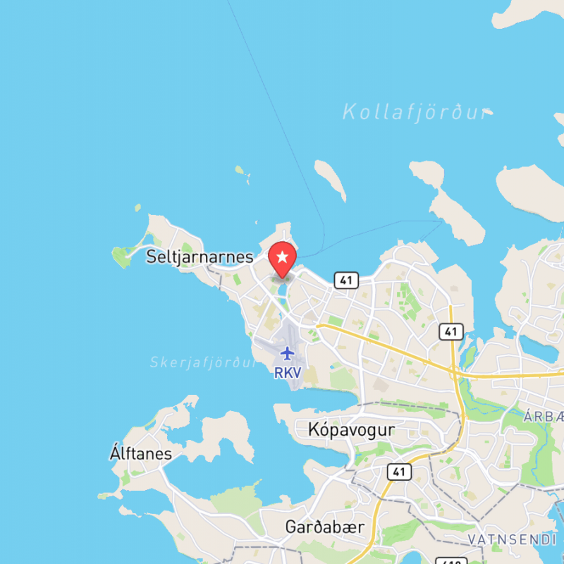 Eine Karte von Reykjavík