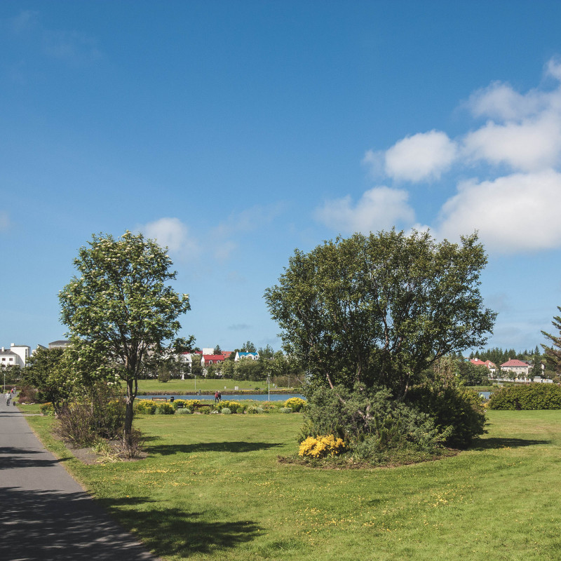 Ein sonniger Park.