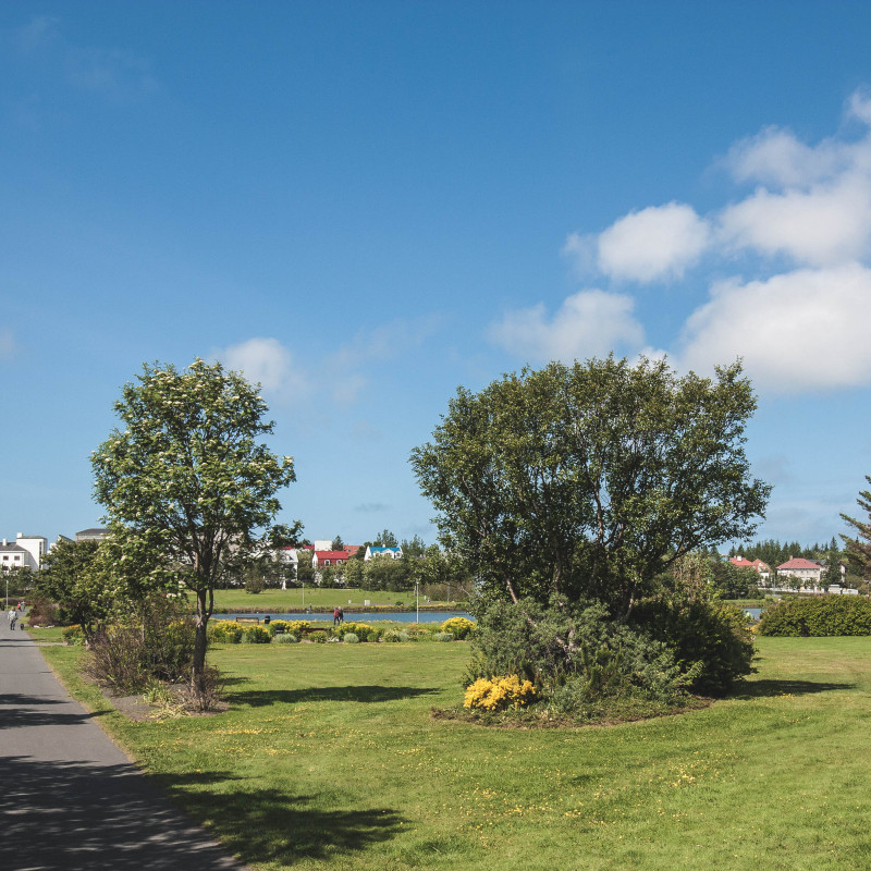 Ein sonniger Park.
