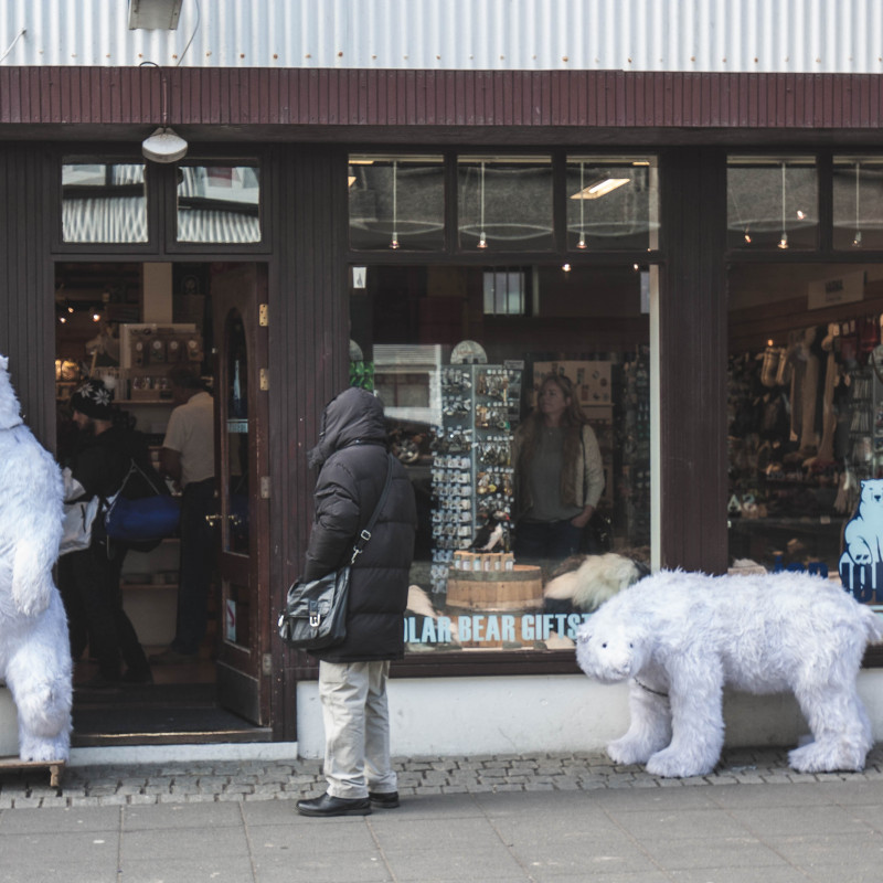 Eisbären in der Fußgängerzone