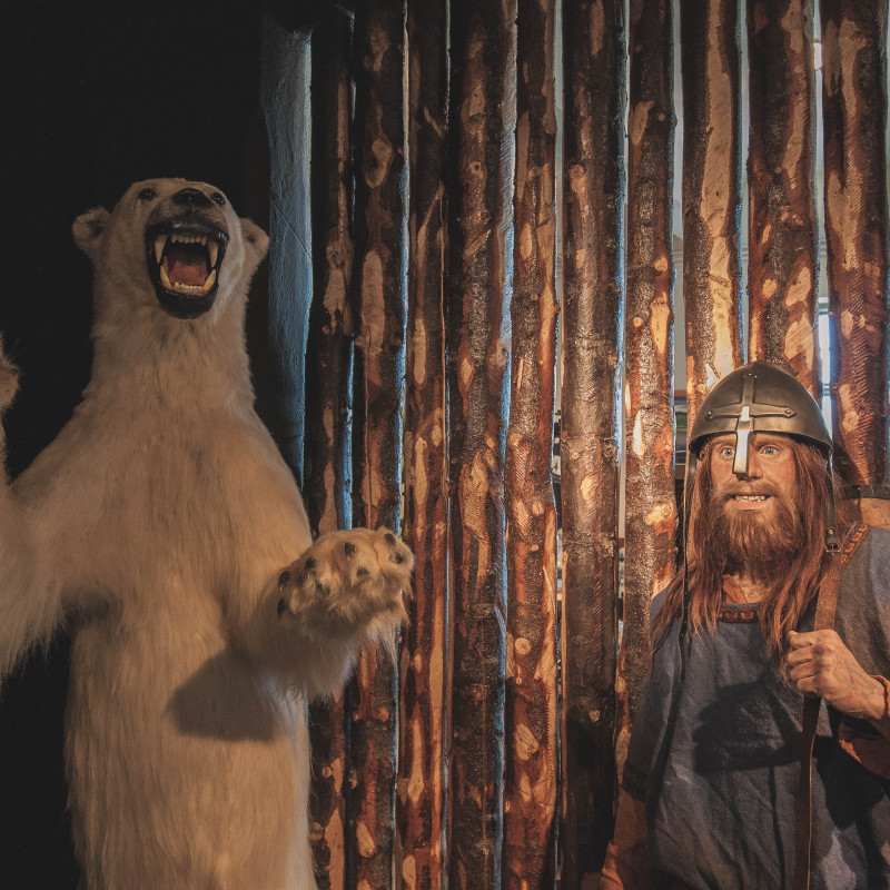 Ein ausgestopfter Eisbär und eine Wikinger-Figur.