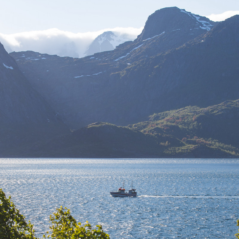 Lofoten Schiff Fjord