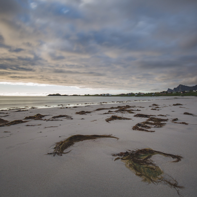 Ein Strand in der Abenddämmerung.