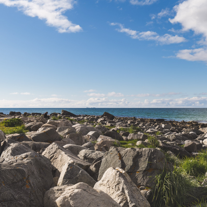 Steine und Meer.