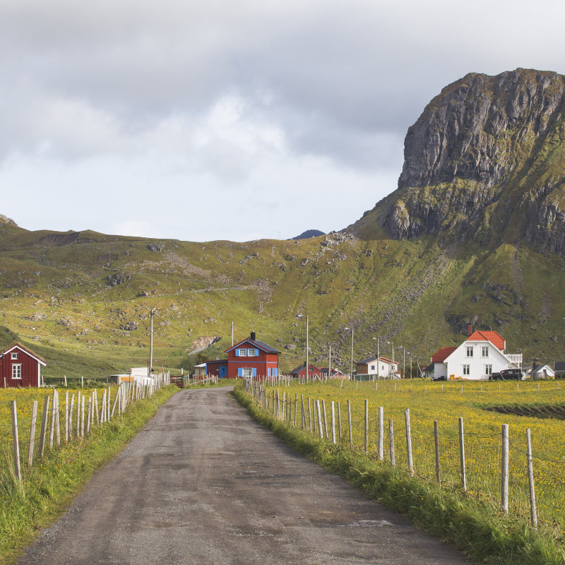 Häuser in der Landschaft.