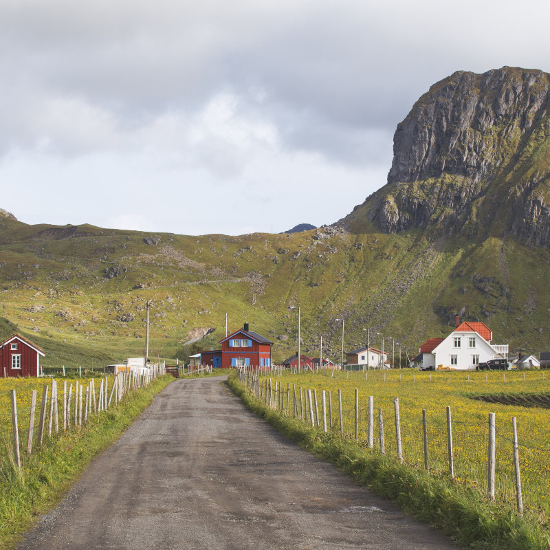 Häuser in der Landschaft.