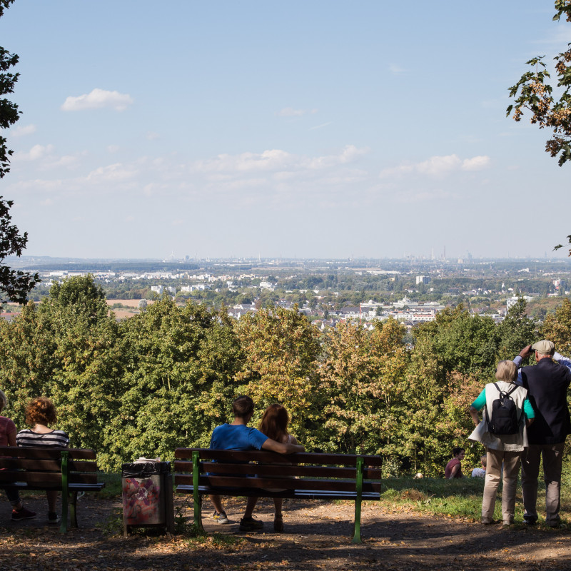 Ausblick auf Köln