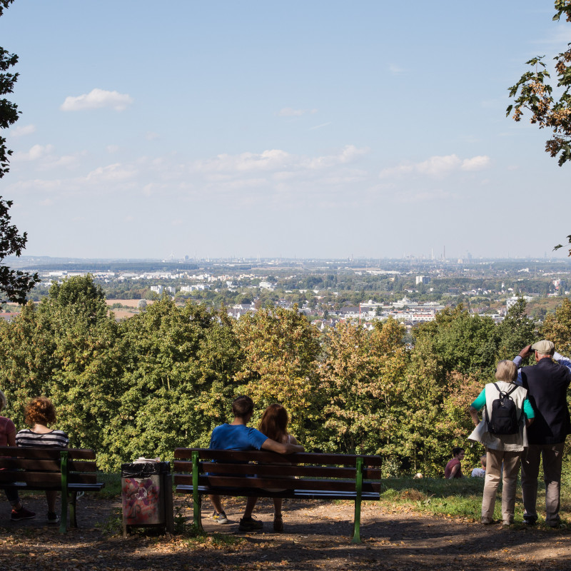 Ausblick auf Köln