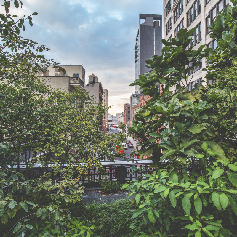 Blick von The Highline in die Stadt