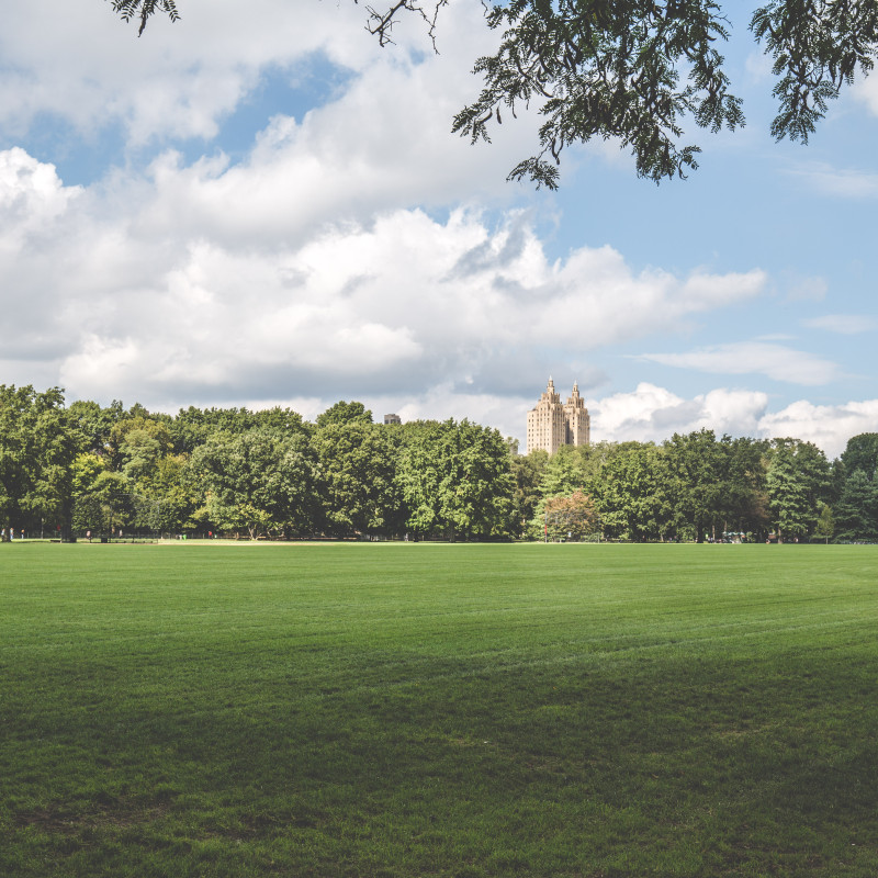 Central Park