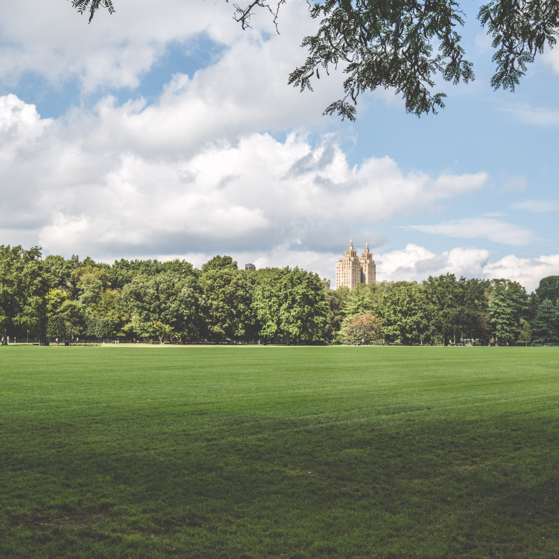 Central Park