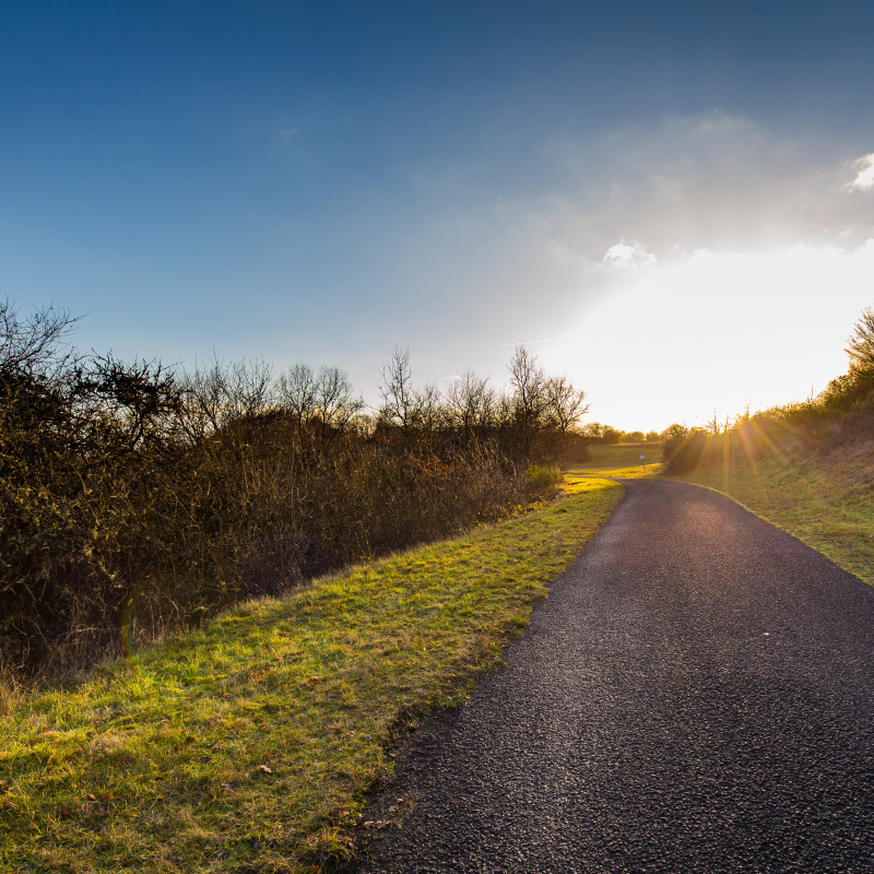 Weg zur Sonne