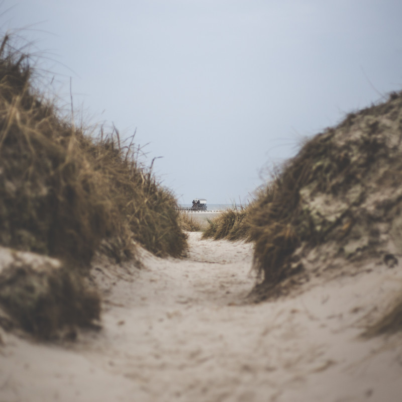 Sankt Peter-Ording: Blick durch die Düne