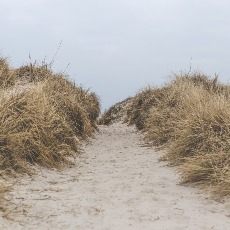 Sankt Peter-Ording: Weg durch die Düne