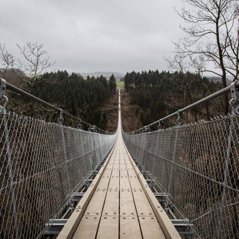 Geierlay-Hängebrücke