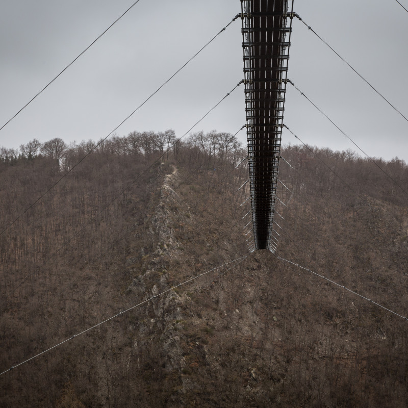 Die Geierlay-Hängebrücke von unten