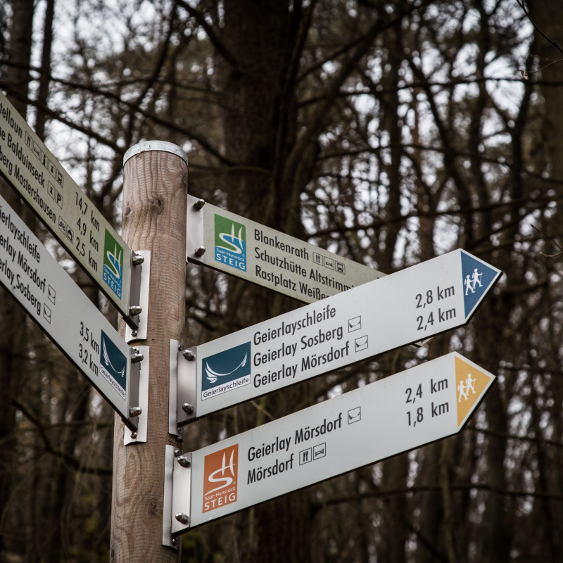 Schilderwald im Wald