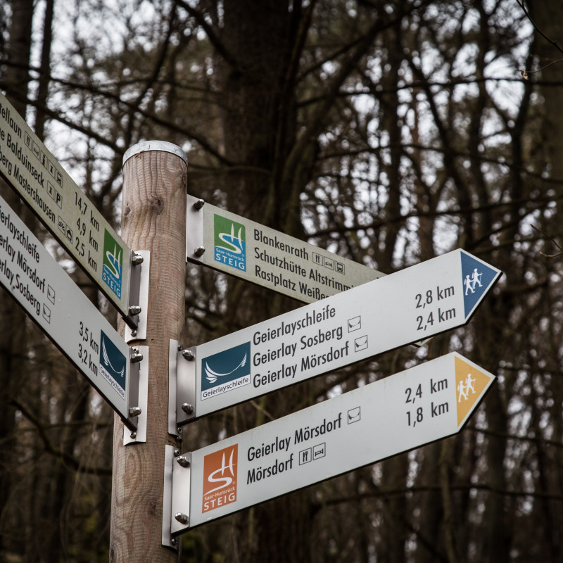 Schilderwald im Wald