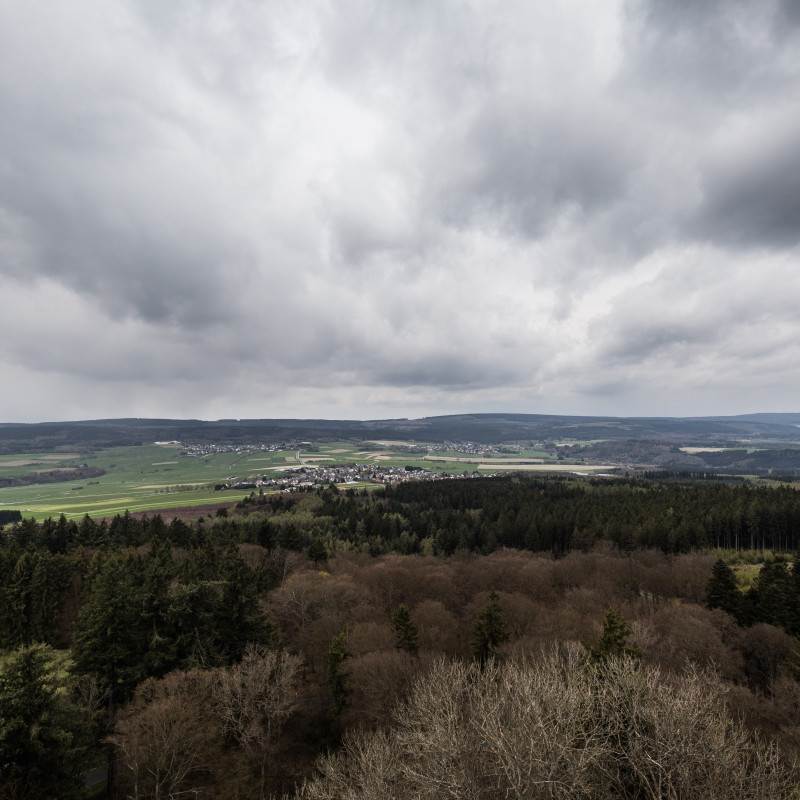 Aussicht von der Wildenburg