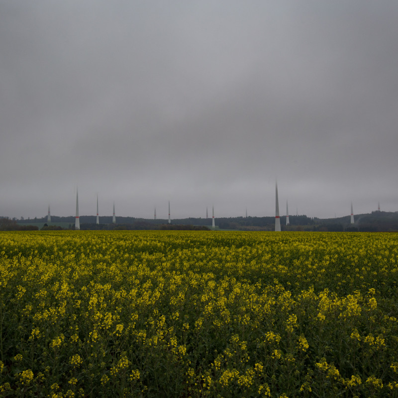 Windräder im Nebel