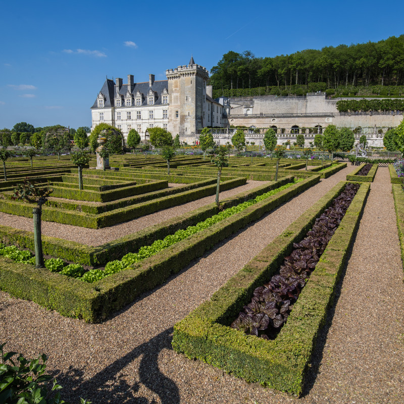 Salatköpfe Panorama Schloss Villandry